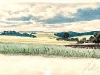cb24